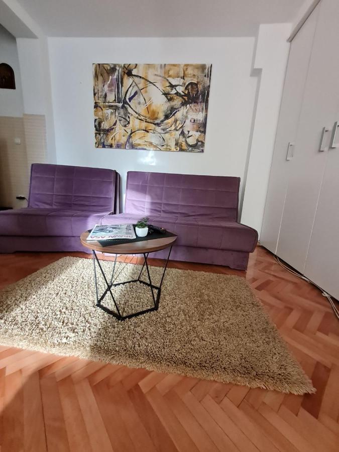 Apartman Veselinovic Free Parking فرانيي المظهر الخارجي الصورة